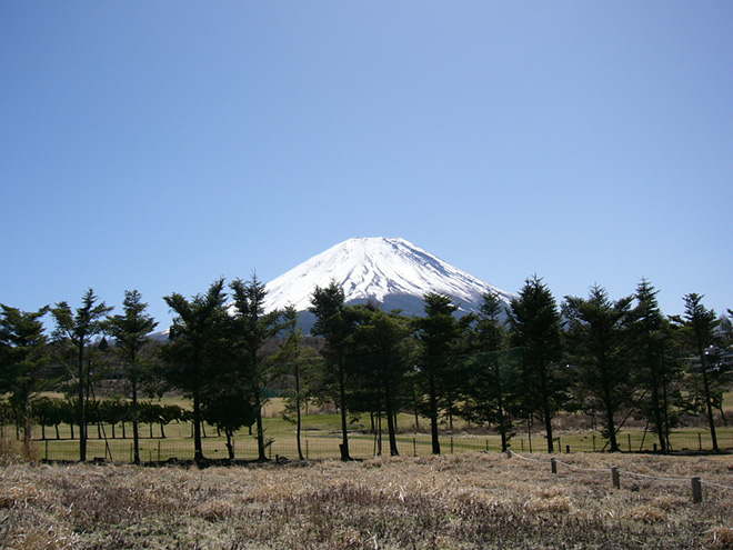 別荘地から望む富士