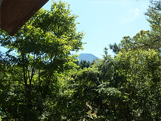 富士山眺望