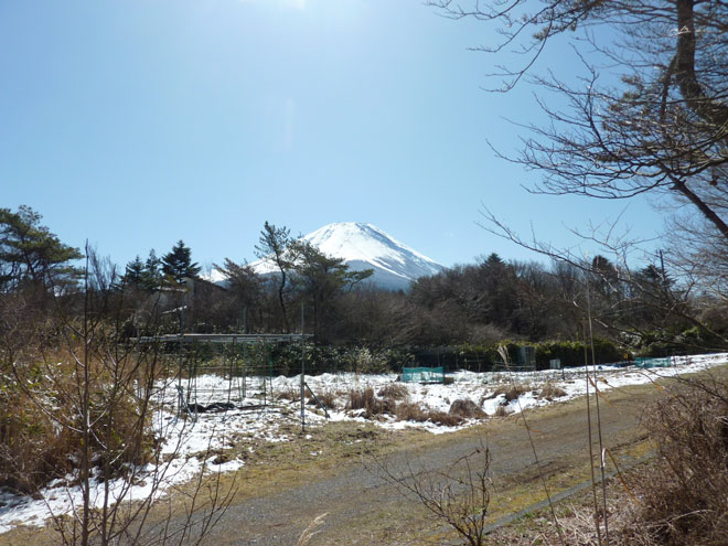 別荘地から望む富士