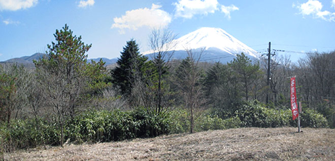 別荘地から望む富士